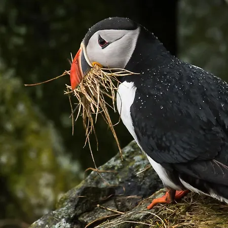 Kirkegata 4 Quarto em Acomodações Particulares Ålesund